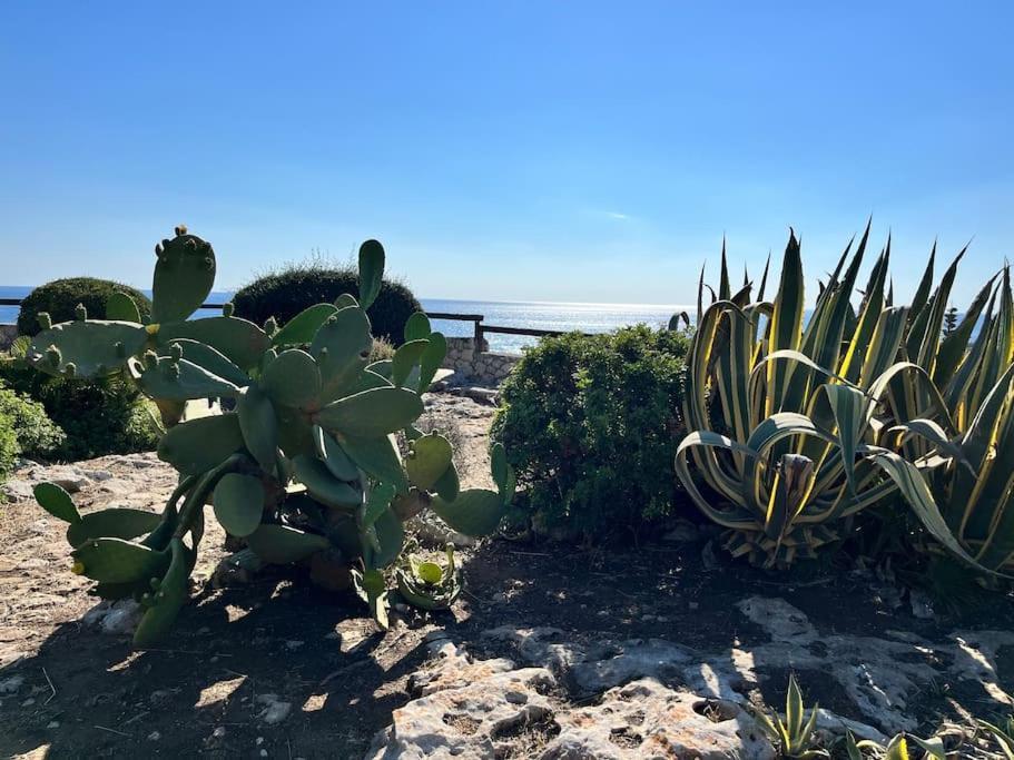 Villa Sebastian- Incomparabile Vista Sul Mare Plemmirio Dış mekan fotoğraf